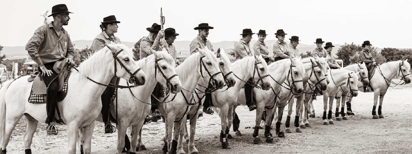 Image de IMMERSION DANS LES TRADITIONS CAMARGAISES